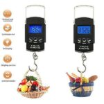 50kg Portable Digital Hanging Scale