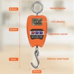 Heavy-Duty Mini Crane Scale with LCD Display
